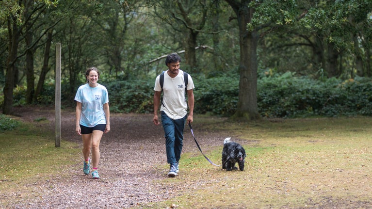 Two dog walker walking at Kinver Edge and the Rock Houses, Staffordshire